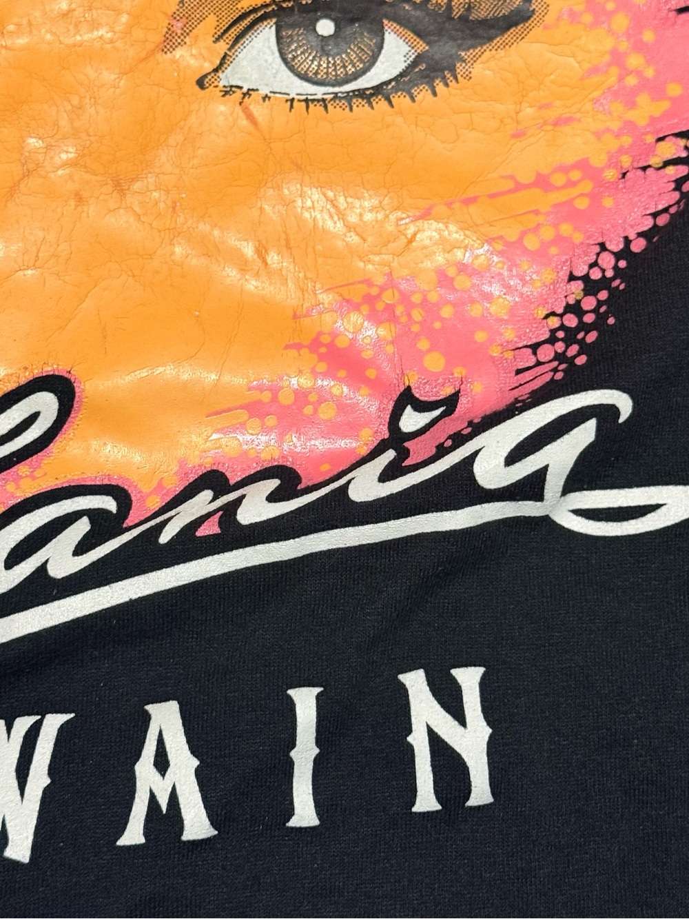 Vintage 90s Shania Twain Size L Single Stitch Jerzees Rare 50/50 Made In USA - Picture 7 of 11